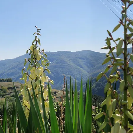 Nyaraló 'гнездото', 'the Nest', Rhodope Mountains, Banite *